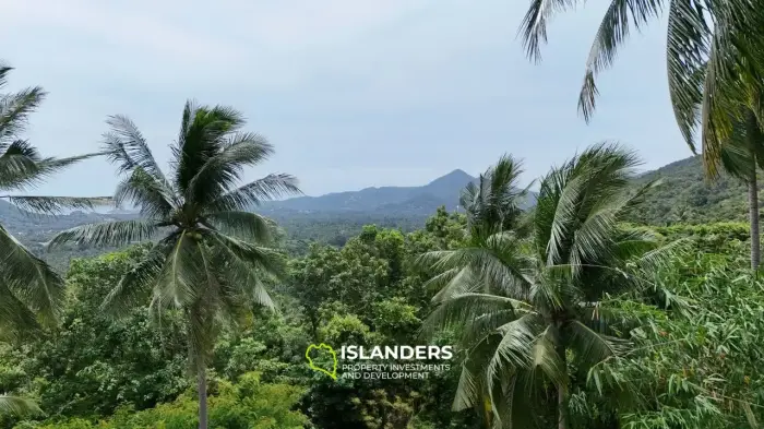 🌅 Sea-View Land for Sale – Sunset Side, KPG