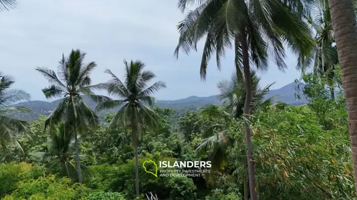 🌅 Sea-View Land for Sale – Sunset Side, KPG