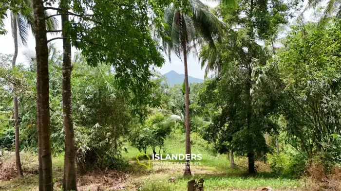 🌅 Sea-View Land for Sale – Sunset Side, KPG