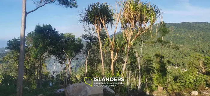 Amazing double sea view land – 2,400 m2