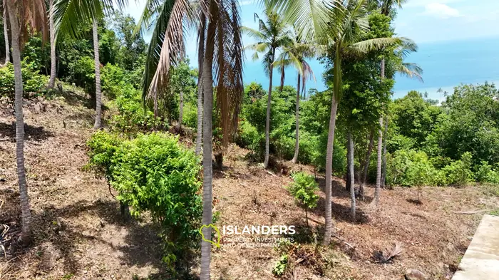 Prime Sea View Land Sunset & Sea Views – 4,060 m2
