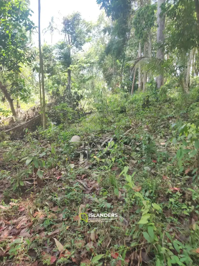 Srithanu Central location ! 1100 sqm plot