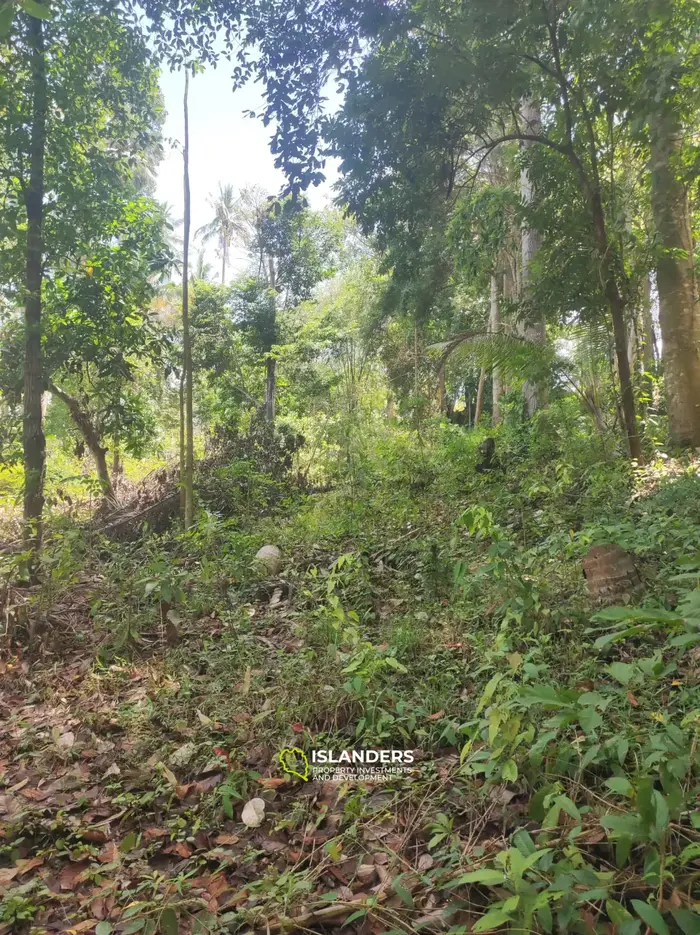 Srithanu Central location ! 1100 sqm plot