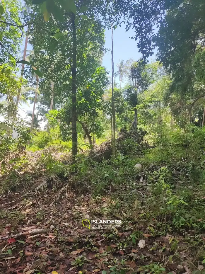 Srithanu Central location ! 1100 sqm plot