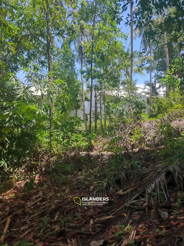 Srithanu Central location ! 1100 sqm plot