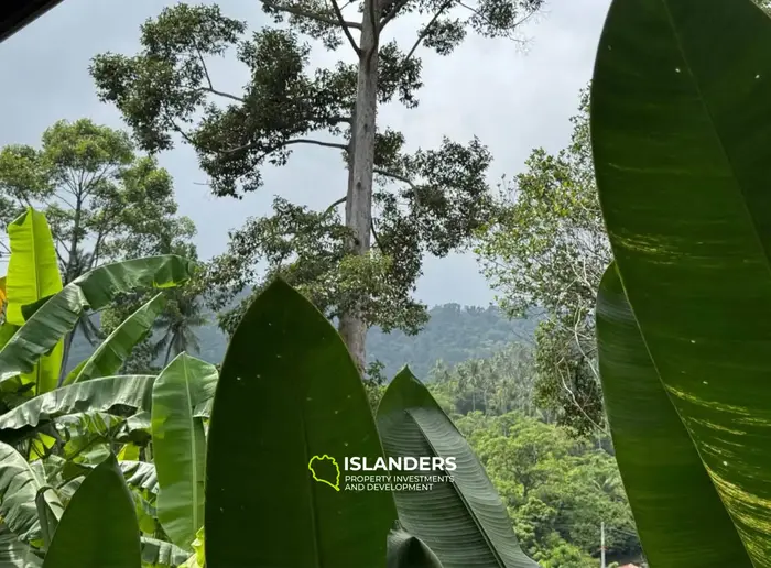 Comfortable 3-bdrm pool villa with mountain views (Lamai)