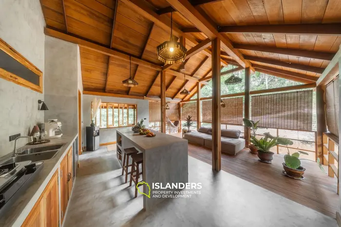 Thai design tropical villa 