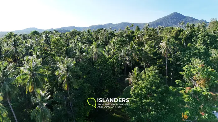 Beautiful plot for Sale – Excellent Investment Opportunity