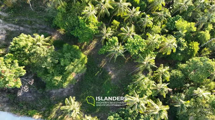 Beautiful plot for Sale – Excellent Investment Opportunity