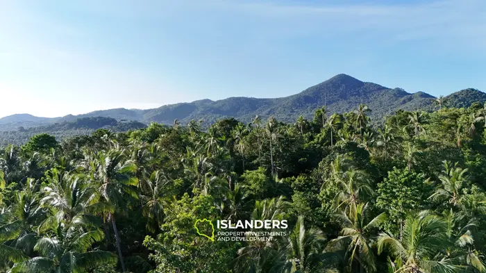 Beautiful plot for Sale – Excellent Investment Opportunity