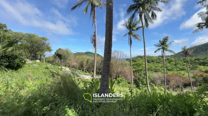 Exclusive Sea View Land for Sale in Ao Leuk, Koh Tao