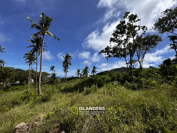 Exclusive Sea View Land for Sale in Ao Leuk, Koh Tao