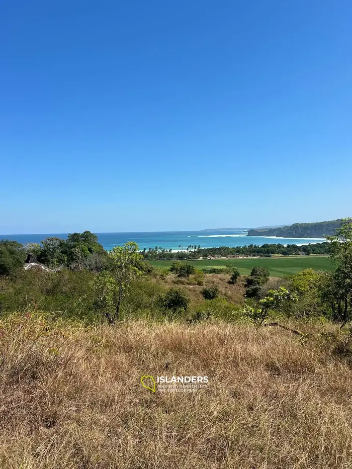 Ocean and rice field view land for sale