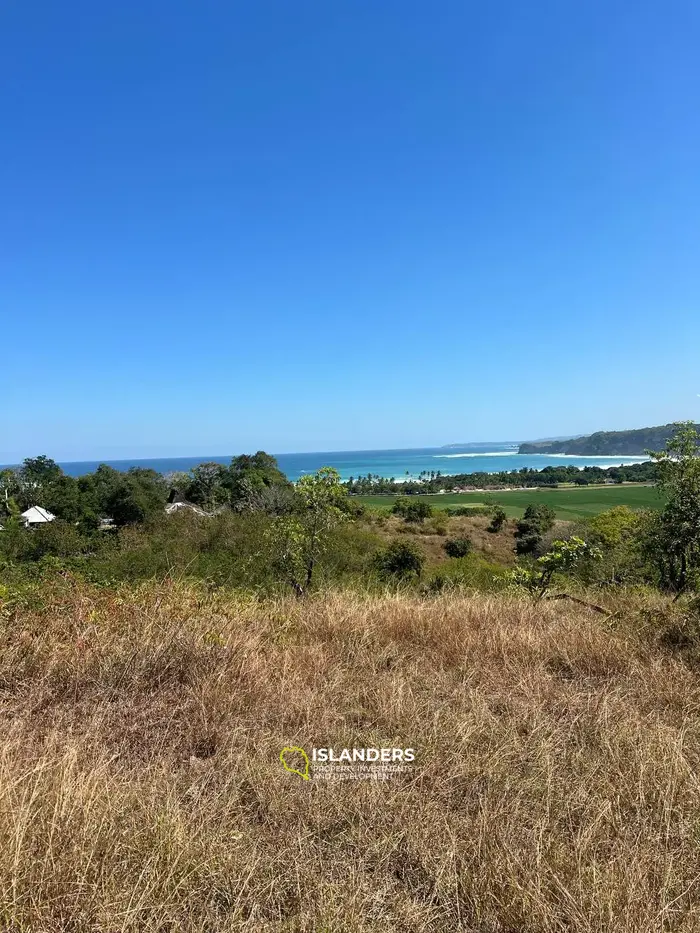 Ocean and rice field view land for sale