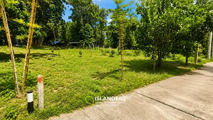 Ready to build 400 SqM plot