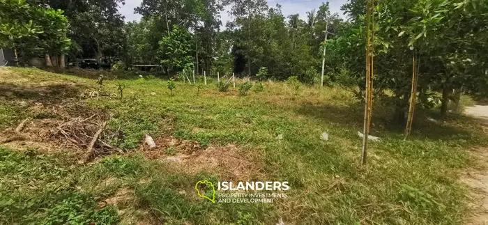 Ready to build 400 SqM plot