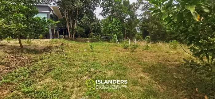 Ready to build 400 SqM plot