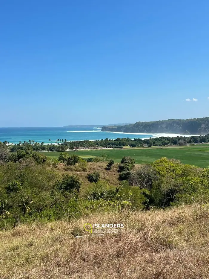 Ocean and rice field view land for sale