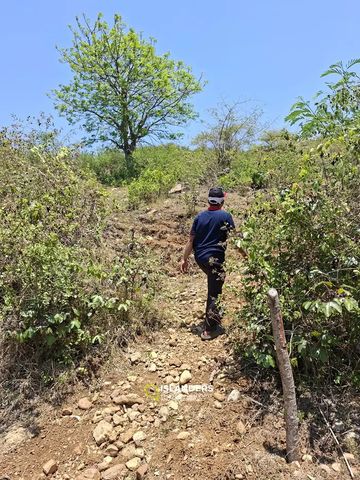 Exclusive Land for Sale in Tanjung, Lombok - A Hidden Gem