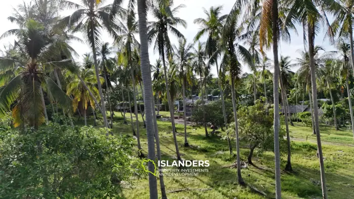 Exclusive Land Plot with Breathtaking Mountain Views in Koh Phangan