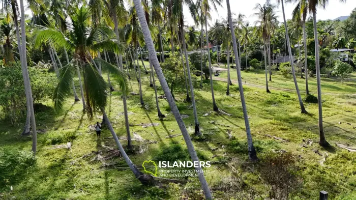 Exclusive Land Plot with Breathtaking Mountain Views in Koh Phangan