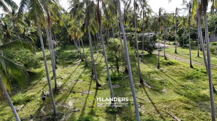 Exclusive Land Plot with Breathtaking Mountain Views in Koh Phangan