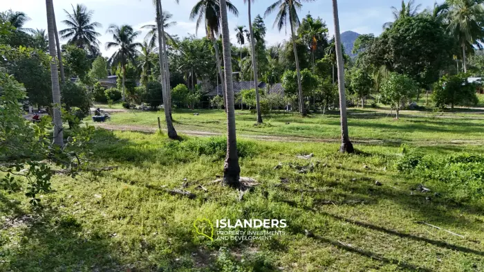 Exclusive Land Plot with Breathtaking Mountain Views in Koh Phangan
