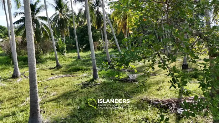 Exclusive Land Plot with Breathtaking Mountain Views in Koh Phangan