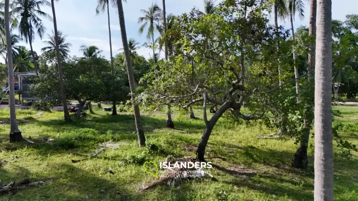 Exclusive Land Plot with Breathtaking Mountain Views in Koh Phangan