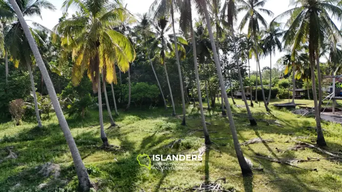 Exclusive Land Plot with Breathtaking Mountain Views in Koh Phangan
