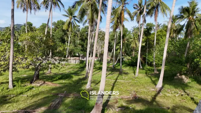 Exclusive Land Plot with Breathtaking Mountain Views in Koh Phangan