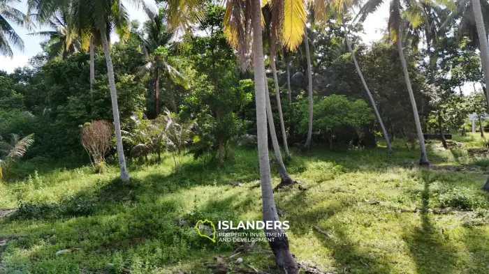 Exclusive Land Plot with Breathtaking Mountain Views in Koh Phangan