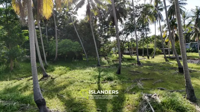 Exclusive Land Plot with Breathtaking Mountain Views in Koh Phangan