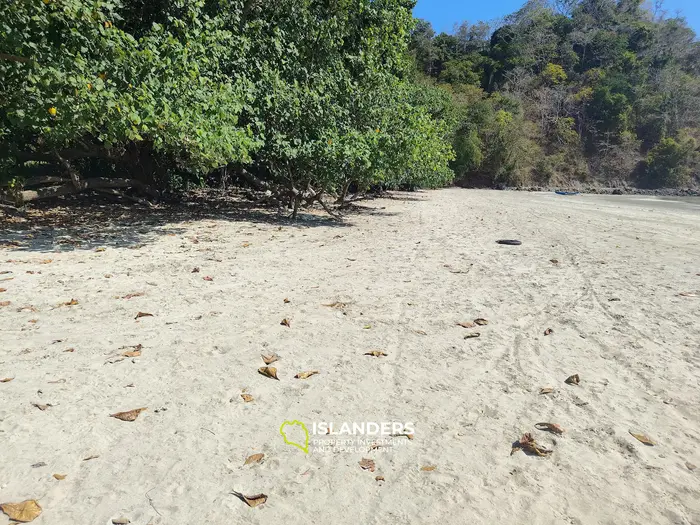 First Line Breathtaking Sea View Land in Sumba, Indonesia