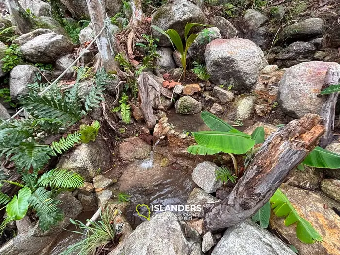 Exquisite Sea View Land for Sale in Koh Phangan
