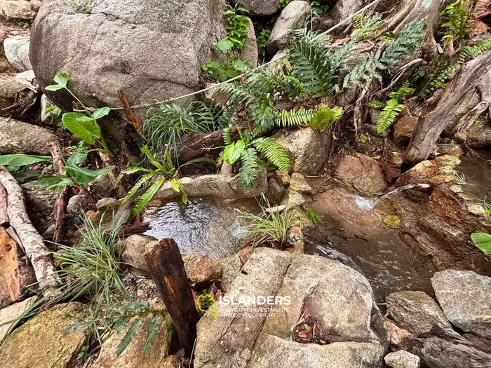 Exquisite Sea View Land for Sale in Koh Phangan