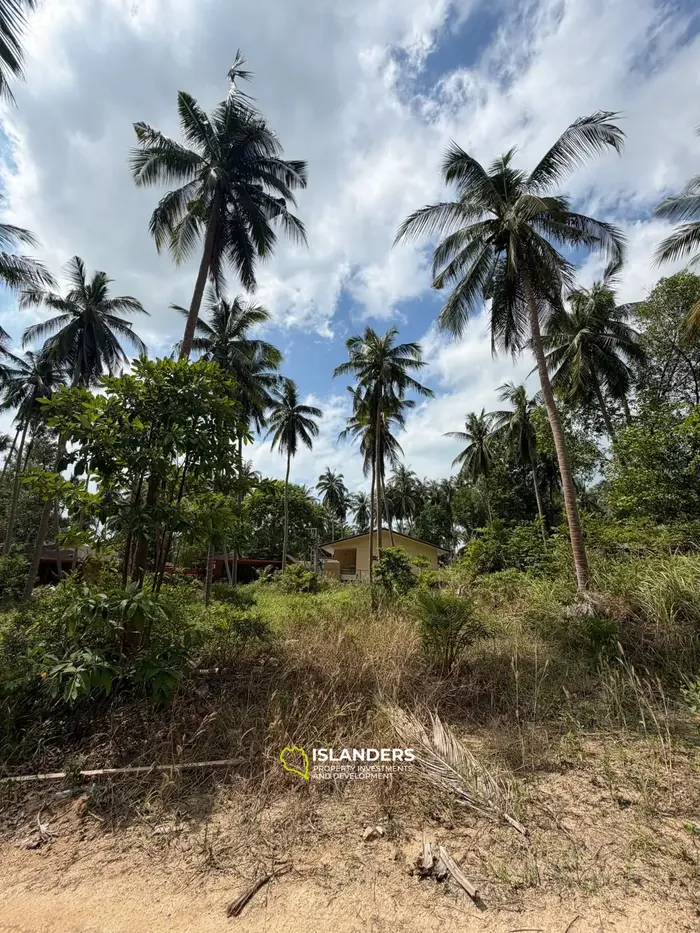 Tropical 800 sqm plot in Chalok Baan Kao