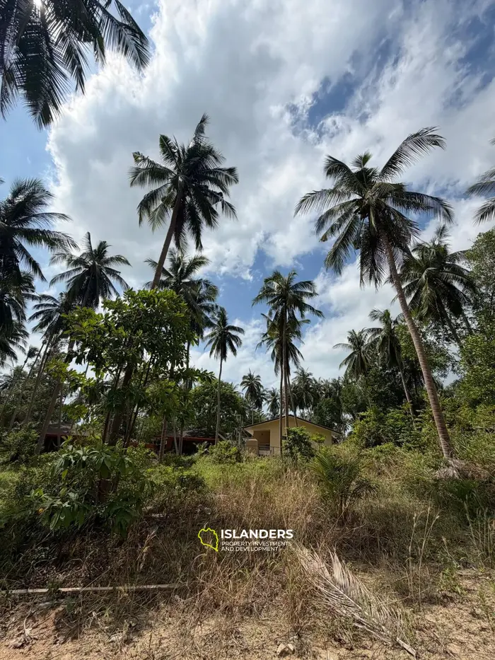 Tropical 800 sqm plot in Chalok Baan Kao