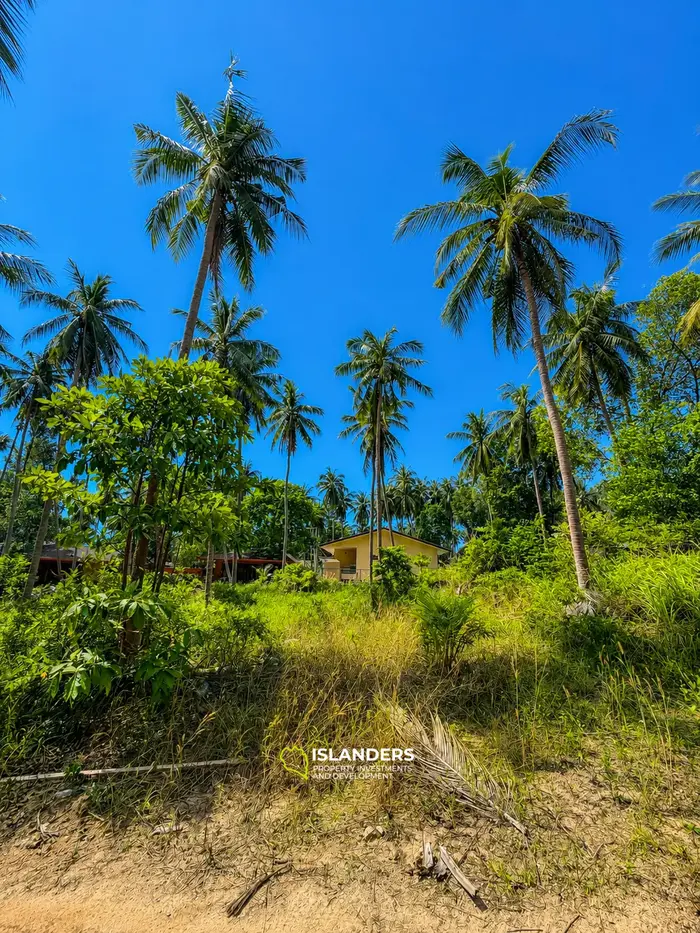 Tropical 800 sqm plot in Chalok Baan Kao