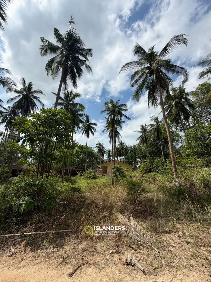Tropical 800 sqm plot in Chalok Baan Kao