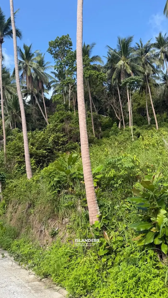  Breathtaking Sea View Land – Koh Phangan 