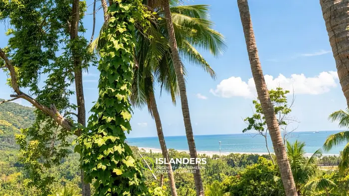 Breathtaking Sea View Land – Koh Phangan 