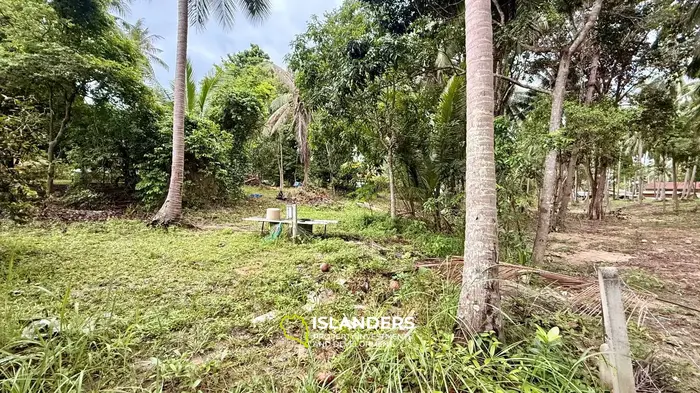 🌴 1 RAI LAND FOR SALE | COCONUT LANE