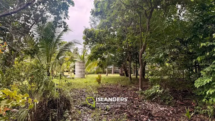 🌴 1 RAI LAND FOR SALE | COCONUT LANE