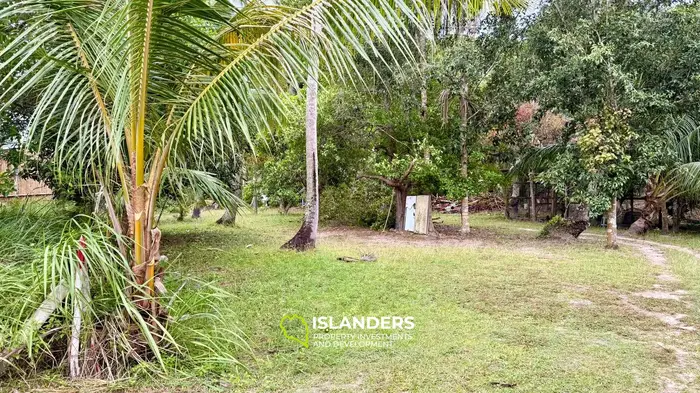 🌴 1 RAI LAND FOR SALE | COCONUT LANE