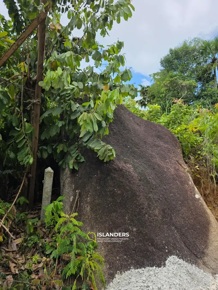 Exclusive Land for Lease or Sale in Baan Nai Suan, Koh Phangan