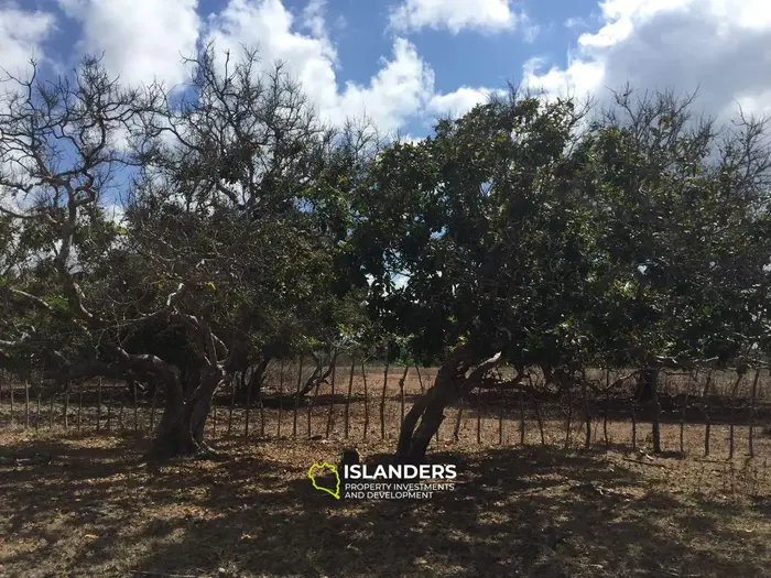 Ocean view land for sale