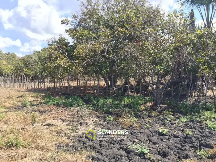 Ocean view land for sale