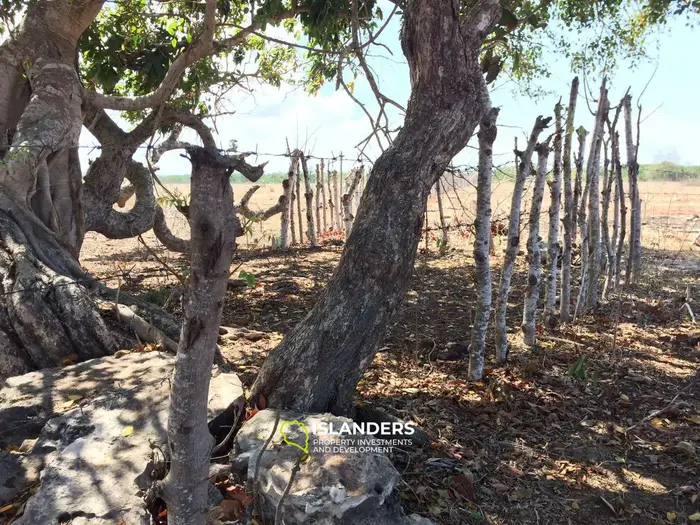 Ocean view land for sale