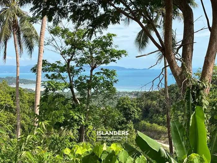 Exclusive Land for Sale in Koh Phangan with Breathtaking Sea View